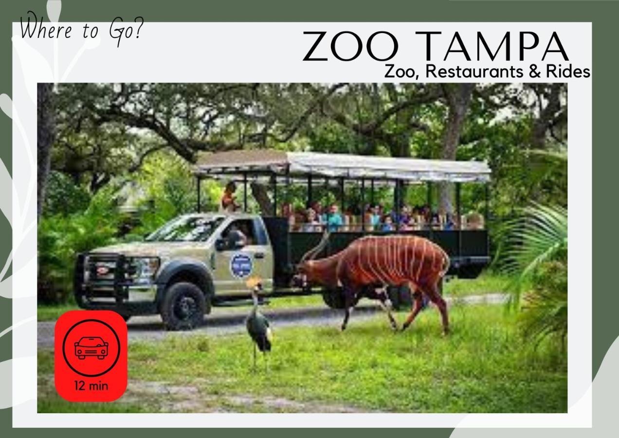 Cozy Home In Tampa Near Ybor & Busch Gardens Екстер'єр фото
